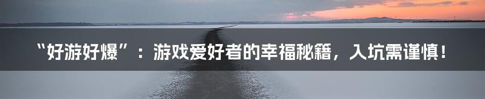 “好游好爆”：游戏爱好者的幸福秘籍，入坑需谨慎！