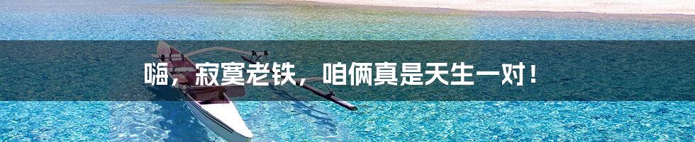 嗨,寂寞老铁,咱俩真是天生一对!