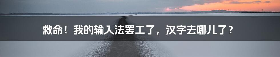 救命！我的输入法罢工了，汉字去哪儿了？