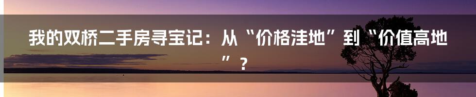 我的双桥二手房寻宝记：从“价格洼地”到“价值高地”？
