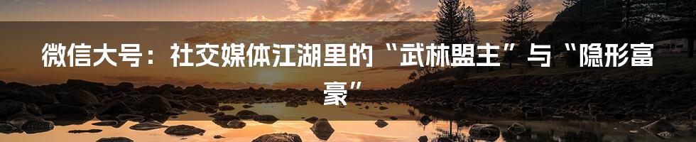 微信大号:社交媒体江湖里的“武林盟主”与“隐形富豪”