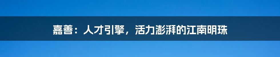 嘉善:人才引擎,活力澎湃的江南明珠