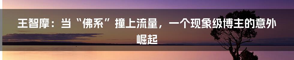 王智摩:当“佛系”撞上流量,一个现象级博主的意外崛起