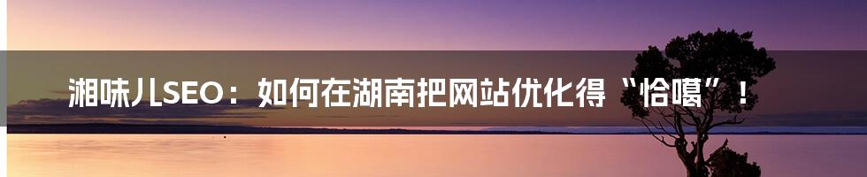 湘味儿SEO：如何在湖南把网站优化得“恰噶”！
