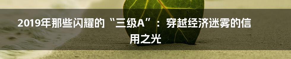 2019年那些闪耀的“三级A”:穿越经济迷雾的信用之光