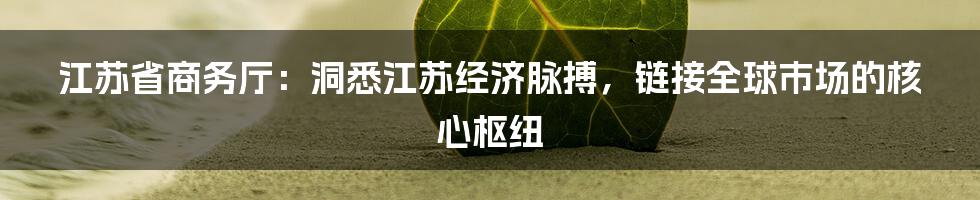 江苏省商务厅:洞悉江苏经济脉搏,链接全球市场的核心枢纽