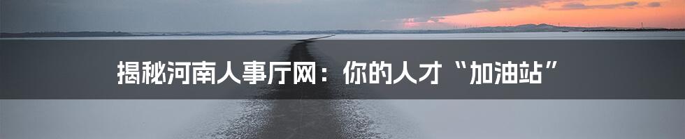 揭秘河南人事厅网:你的人才“加油站”