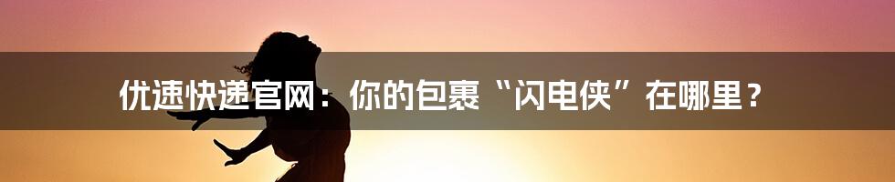 优速快递官网:你的包裹“闪电侠”在哪里?