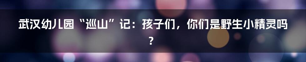 武汉幼儿园“巡山”记:孩子们,你们是野生小精灵吗?
