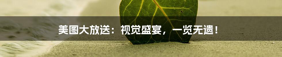 美图大放送:视觉盛宴,一览无遗!