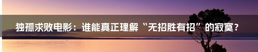 独孤求败电影:谁能真正理解“无招胜有招”的寂寞?