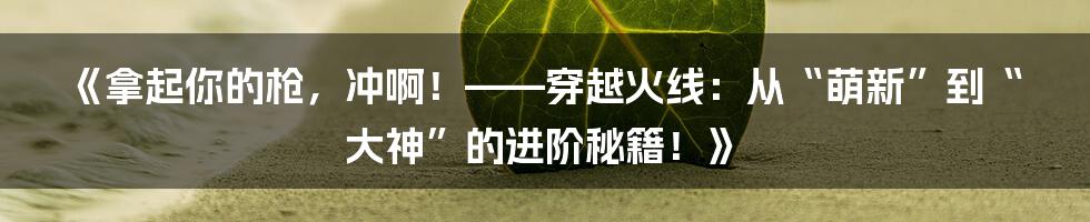 《拿起你的枪，冲啊！——穿越火线：从“萌新”到“大神”的进阶秘籍！》