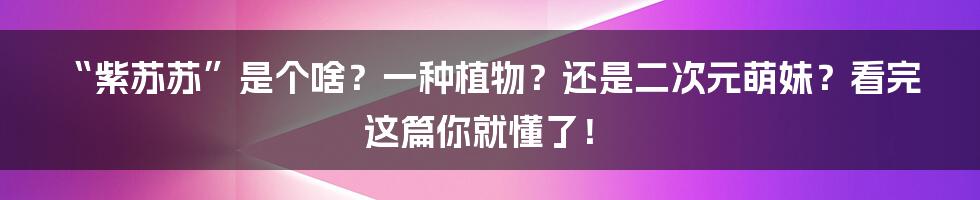 “紫苏苏”是个啥?一种植物?还是二次元萌妹?看完这篇你就懂了!