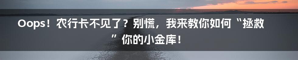 Oops!农行卡不见了?别慌,我来教你如何“拯救”你的小金库!