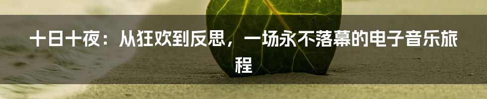 十日十夜:从狂欢到反思,一场永不落幕的电子音乐旅程