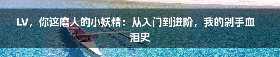 LV，你这磨人的小妖精：从入门到进阶，我的剁手血泪史
