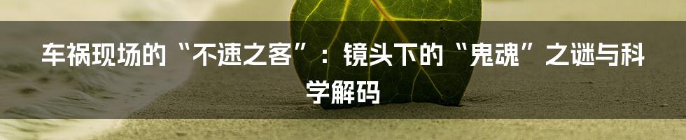 车祸现场的“不速之客”:镜头下的“鬼魂”之谜与科学解码