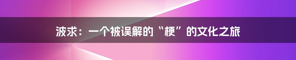 波求:一个被误解的“梗”的文化之旅