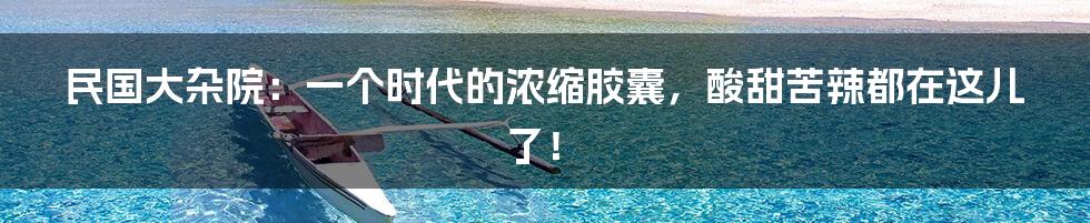 民国大杂院:一个时代的浓缩胶囊,酸甜苦辣都在这儿了!