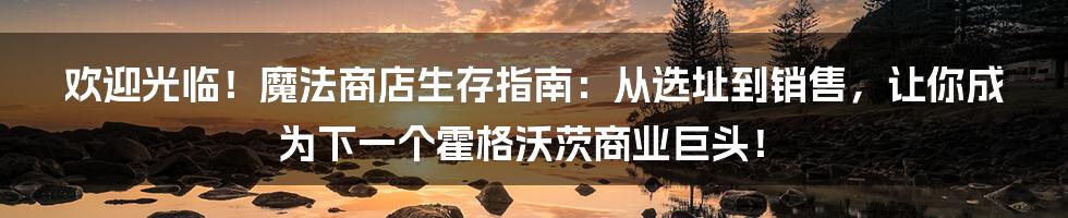 欢迎光临！魔法商店生存指南：从选址到销售，让你成为下一个霍格沃茨商业巨头！
