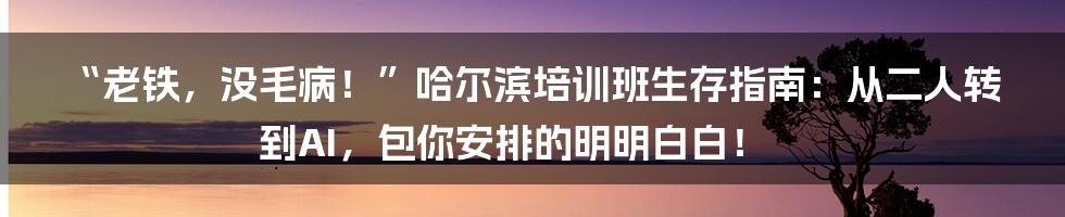 “老铁，没毛病！”哈尔滨培训班生存指南：从二人转到AI，包你安排的明明白白！