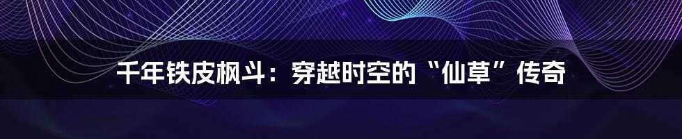 千年铁皮枫斗:穿越时空的“仙草”传奇