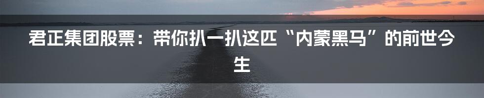 君正集团股票:带你扒一扒这匹“内蒙黑马”的前世今生