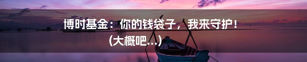 博时基金:你的钱袋子,我来守护! (大概吧...)