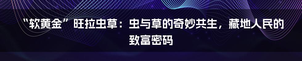 “软黄金”旺拉虫草:虫与草的奇妙共生,藏地人民的致富密码