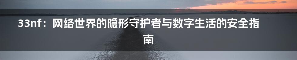 33nf：网络世界的隐形守护者与数字生活的安全指南