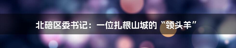 北碚区委书记:一位扎根山城的“领头羊”
