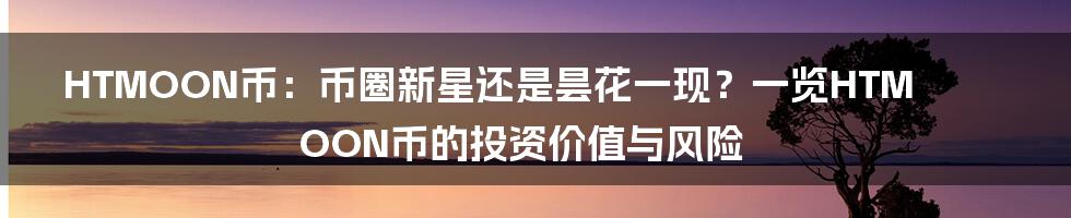 HTMOON币：币圈新星还是昙花一现？一览HTMOON币的投资价值与风险