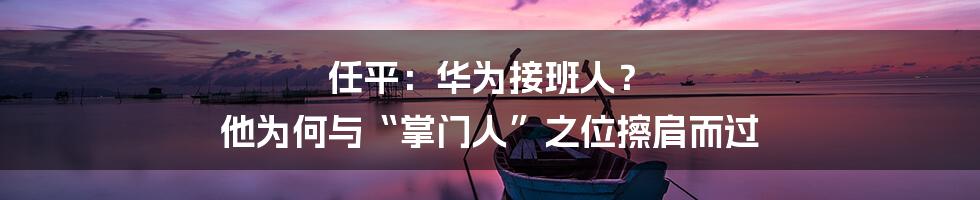 任平:华为接班人? 他为何与“掌门人”之位擦肩而过