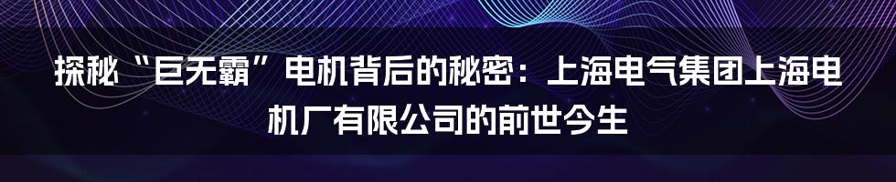 探秘“巨无霸”电机背后的秘密:上海电气集团上海电机厂有限公司的前世今生
