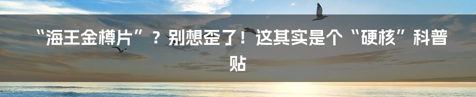 “海王金樽片”?别想歪了!这其实是个“硬核”科普贴