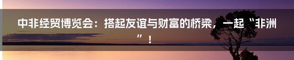 中非经贸博览会:搭起友谊与财富的桥梁,一起“非洲”!