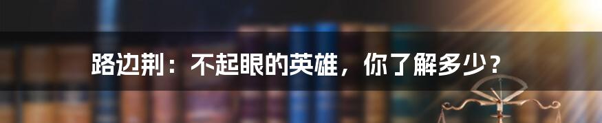 路边荆:不起眼的英雄,你了解多少?