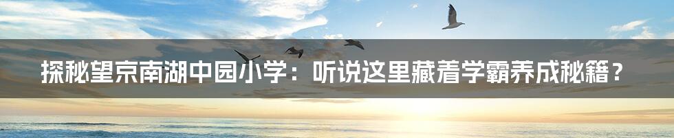 探秘望京南湖中园小学:听说这里藏着学霸养成秘籍?