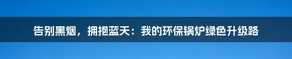 告别黑烟，拥抱蓝天：我的环保锅炉绿色升级路