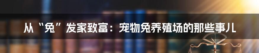 从“兔”发家致富：宠物兔养殖场的那些事儿