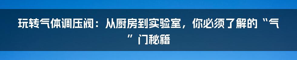 玩转气体调压阀：从厨房到实验室，你必须了解的“气”门秘籍