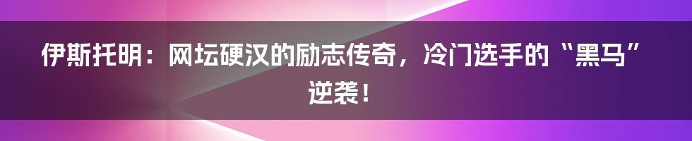 伊斯托明:网坛硬汉的励志传奇,冷门选手的“黑马”逆袭!