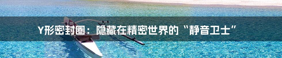 Y形密封圈:隐藏在精密世界的“静音卫士”