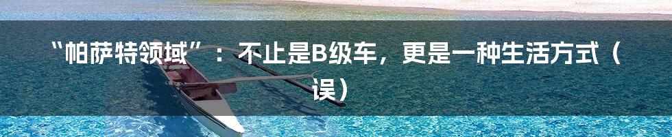 “帕萨特领域”:不止是B级车,更是一种生活方式(误)
