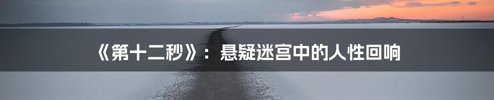 《第十二秒》:悬疑迷宫中的人性回响