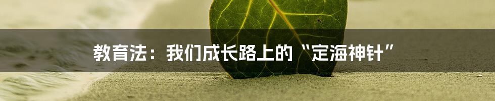 教育法:我们成长路上的“定海神针”