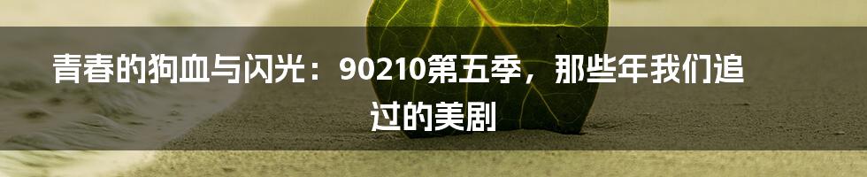 青春的狗血与闪光：90210第五季，那些年我们追过的美剧