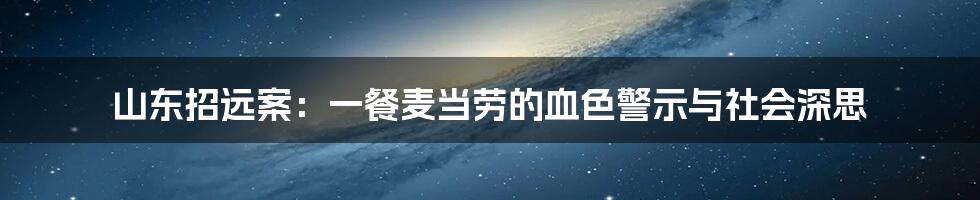 山东招远案:一餐麦当劳的血色警示与社会深思