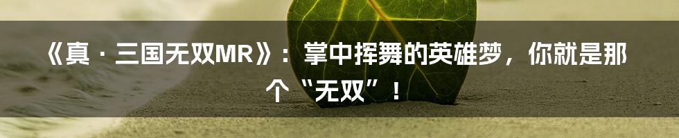 《真·三国无双MR》:掌中挥舞的英雄梦,你就是那个“无双”!