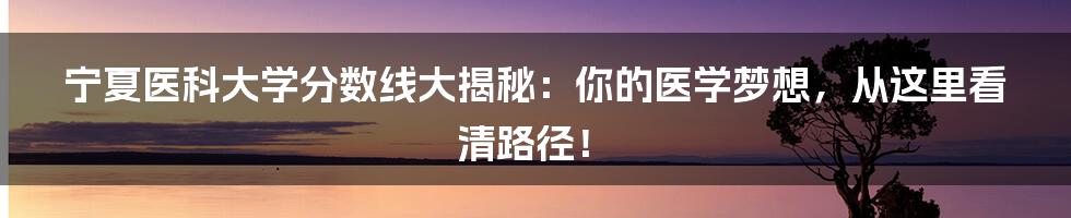 宁夏医科大学分数线大揭秘：你的医学梦想，从这里看清路径！